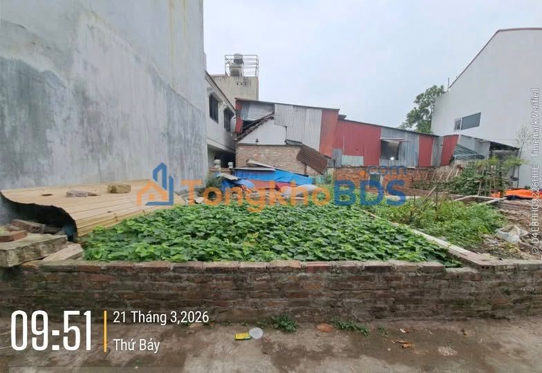 Bán Đất Nền Mai Động, Từ Sơn 58m² - Sổ Đỏ Sẵn Sàng, Tiềm Năng Tăng Giá