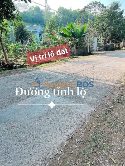 Đất nền Cẩm Thủy TL523 500m2 giá thỏa thuận - Đường to ô tô