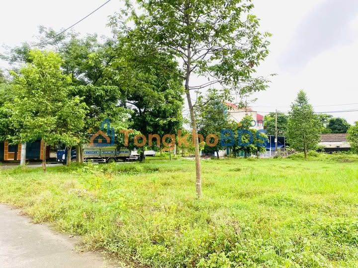 Đất nền Quảng Hưng Thanh Hóa 242m² 3 tỷ - Sổ đỏ chính chủ