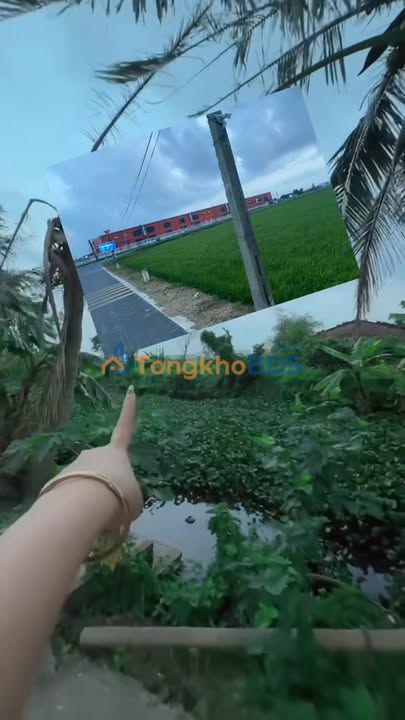 Đất nền An Quí Quỳnh Phụ 733m² 1.7 tỷ - Sổ đỏ chính chủ