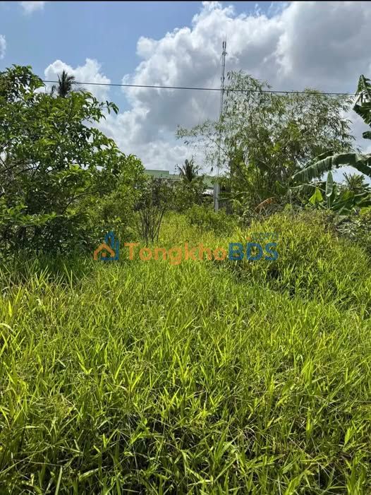 Đất vườn Lý Văn Lâm Cà Mau 173m² 360 triệu - Sổ hồng riêng