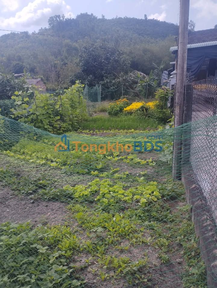 Đất nền Bình Tường Tây Sơn 170m² 3xx triệu - Sổ đỏ chính chủ