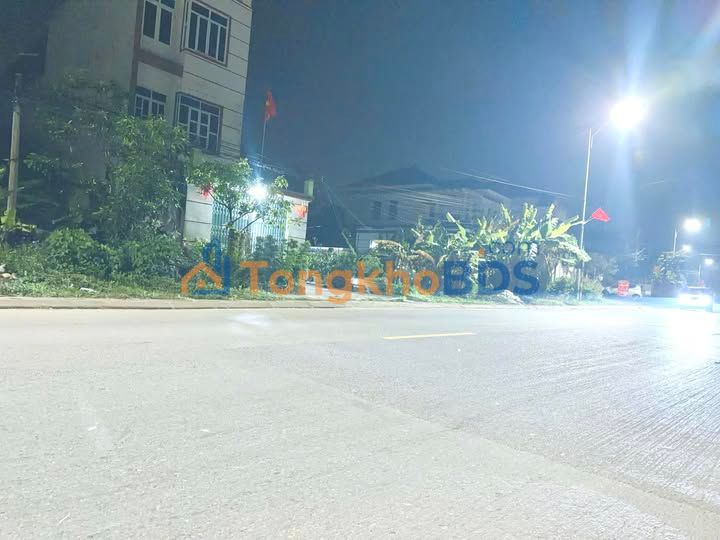 Đất nền Bắc Giang TL295 100m² giá 2,4 tỷ - Đường to ô tô