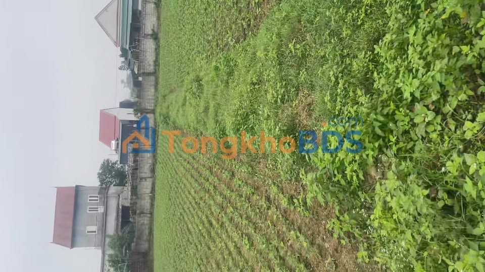 Bán đất 242.6m² Đường Quốc lộ Nam Viên, Phúc Thọ - Sổ đỏ sẵn sàng