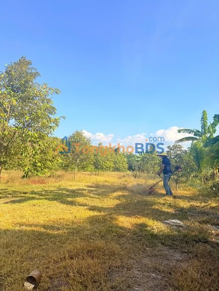 Đất Vườn Sầu Riêng 1600m² Khánh Vĩnh - Chính Chủ, Giá Tốt 800 Triệu