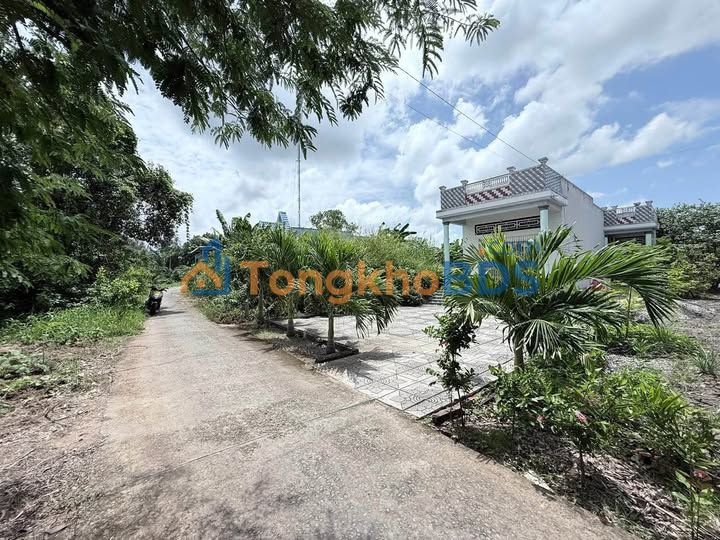 Đất vườn Tân Thành Cà Mau 950 triệu 800m² - Thổ cư 100%