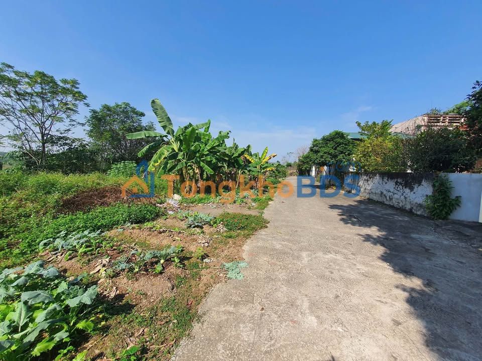 Đất nền Hồ Sơn Tam Đảo 1.149m² tiềm năng tăng giá