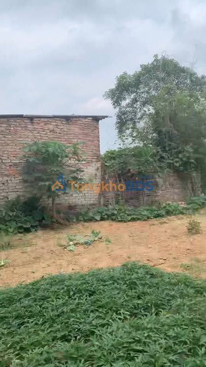 Đất nền Sóc Sơn Đa Phúc 238m² giá đầu tư - Sổ đỏ chính chủ