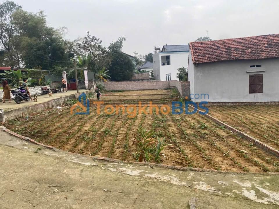 Land Đồng Tĩnh Tam Dương 111m² 5xx triệu - Sổ đỏ chính chủ