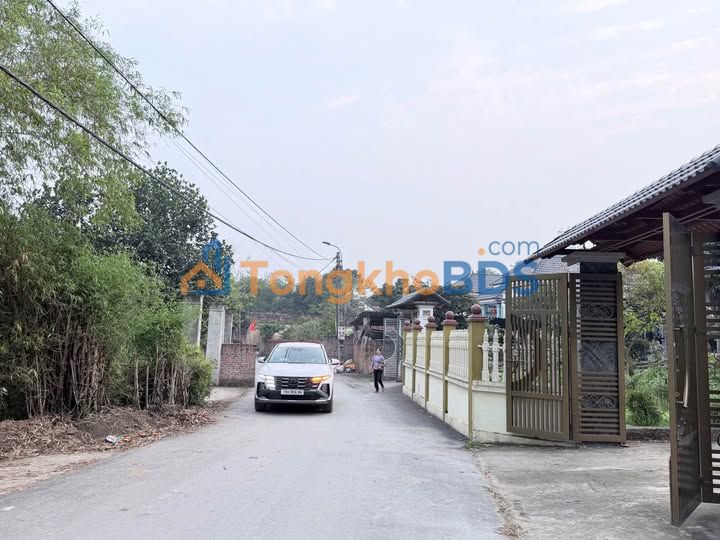 Đất Nền Bảo Trúc Tam Dương 100m² - Đầu Tư Sinh Lời Hấp Dẫn