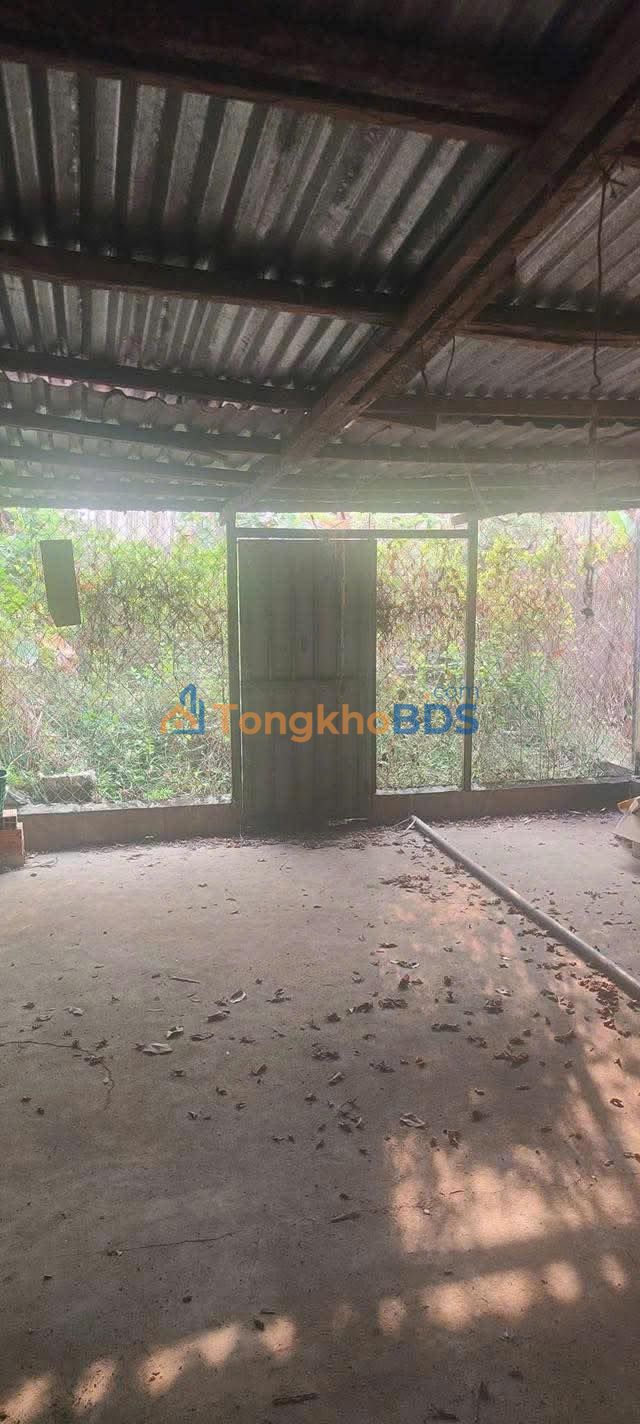 Nhà Cầu Khởi Tây Ninh 145m² Full Thổ Cư - Dọn Vào Ở Ngay