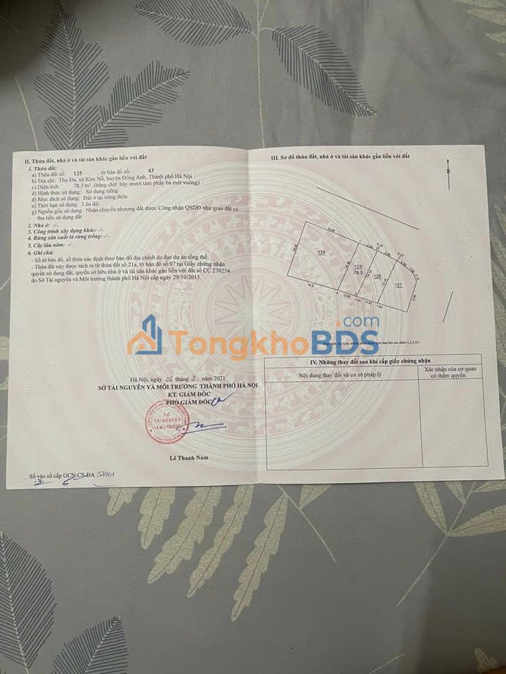 Đất Thổ cư Thọ Đa Kim Nỗ 78m² giá 1xx - Đường to ô tô