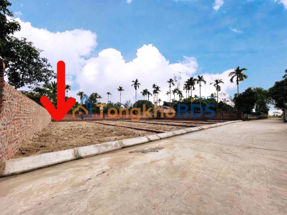 Đất nền Kim Tân, Hải Dương 80m² sổ hồng sẵn - Giá 698 triệu