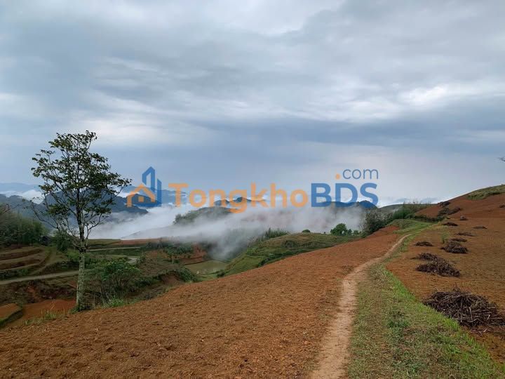 Đất nền Noong Luông Mai Châu 76000m² 4.56 tỷ - Sổ đỏ chính chủ