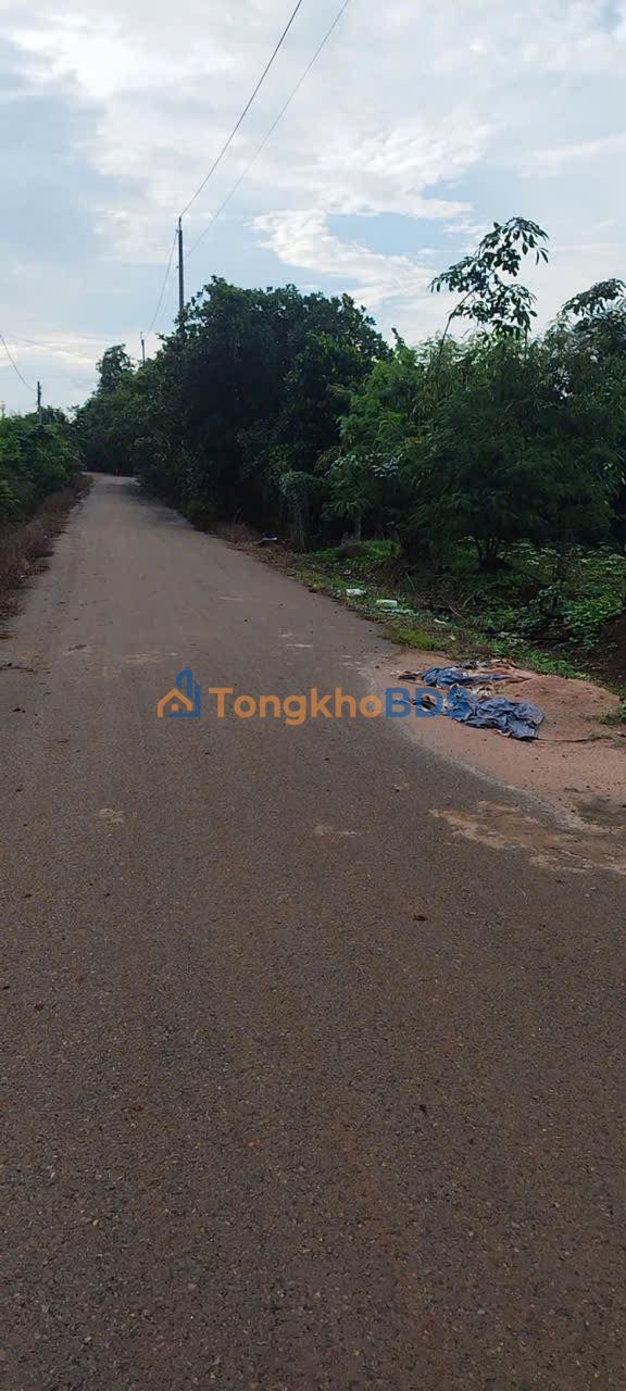 Đất Vườn Nghỉ Dưỡng 3600m² Xã Bình Ba, Châu Đức - Giá 1.1 Tỷ