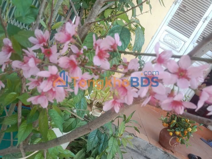 Đất nền Picenza Sơn La 300m² - Mặt tiền 14.35m - Giá 1.75 tỷ