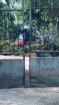 Đất Vườn Nghỉ Dưỡng Đồng Nai 15.000m² - Sổ Riêng, Giá Đầu Tư