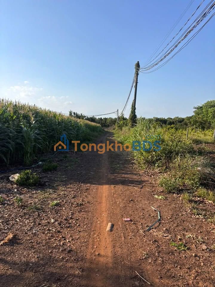 Đất nền Xuân Phú Xuân Lộc 200m² - Giá tốt hiếm có