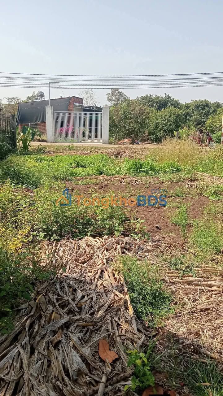 Đất nền Xuân Quế Xuân Lộc 125m² 600 triệu - Pháp lý rõ ràng