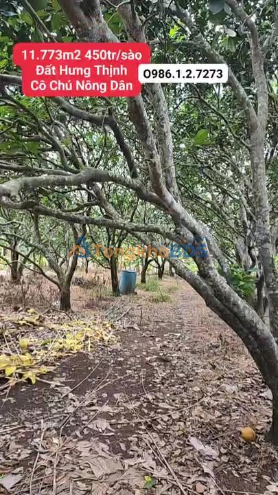 Bán Gấp Đất Vườn 11773m² Đồng Nai - Có Nhà, Cây Ăn Trái, Giá Tốt