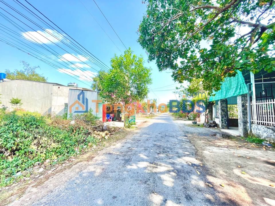 Đất nền Hắc Dịch Phú Mỹ 294m² 1.42 tỷ - Sổ đỏ chính chủ