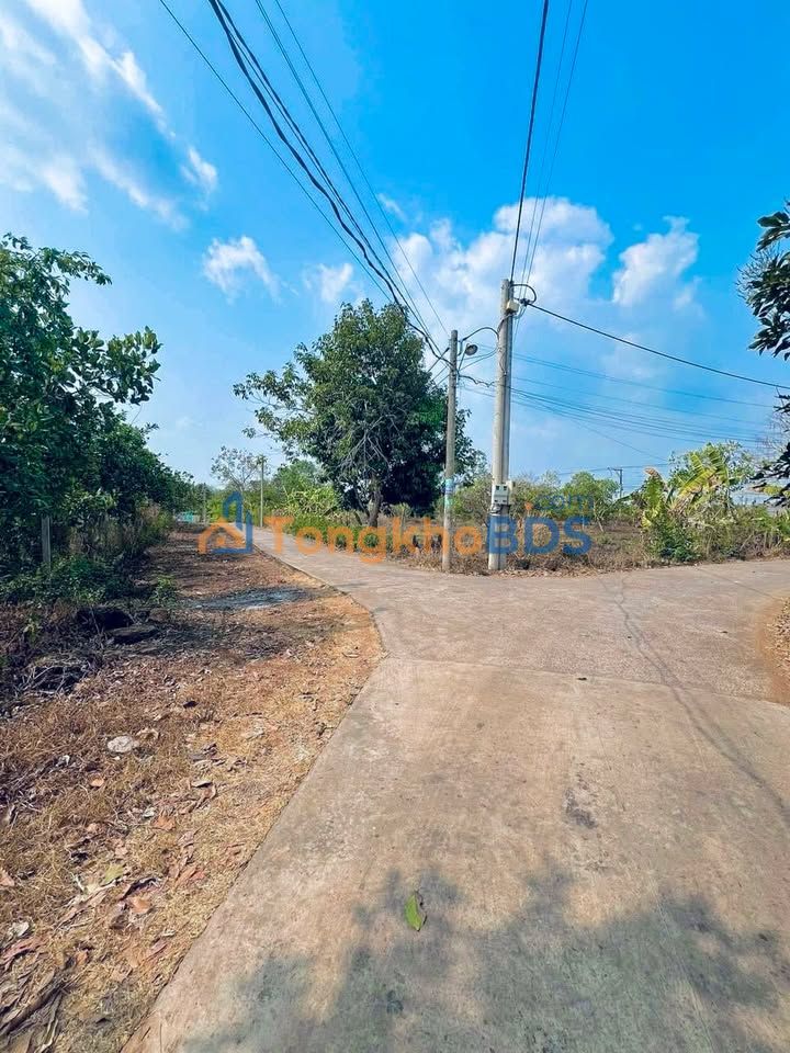 Đất nền Xuân Tân Biên Hòa 110m² 0.3 tỷ - Sổ đỏ chính chủ