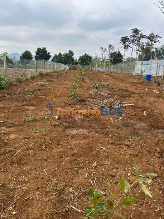 Đất nền Chiềng La Sơn La 1.600m² - Sổ đỏ chính chủ