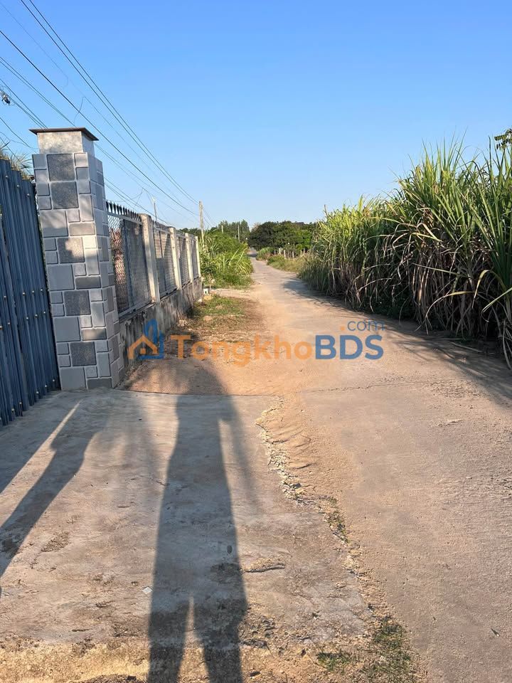 Đất nền Cam An Bắc Cam Lâm 556m² 1.878 tỷ - Sổ đỏ chính chủ