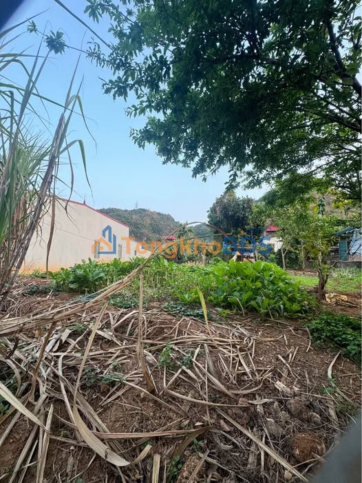 Đất vườn Bản Mé Chiềng Cơi 280m² - Đường to ô tô