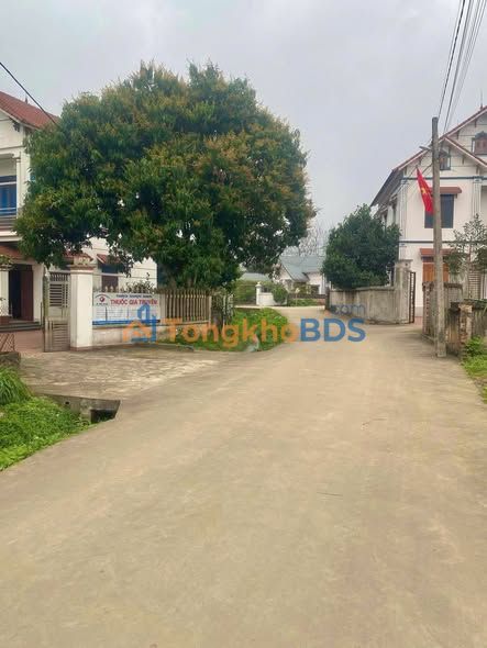 Đất Vàng Tam Nông 100m² Full Thổ Cư - Giá Chỉ 6xx Triệu