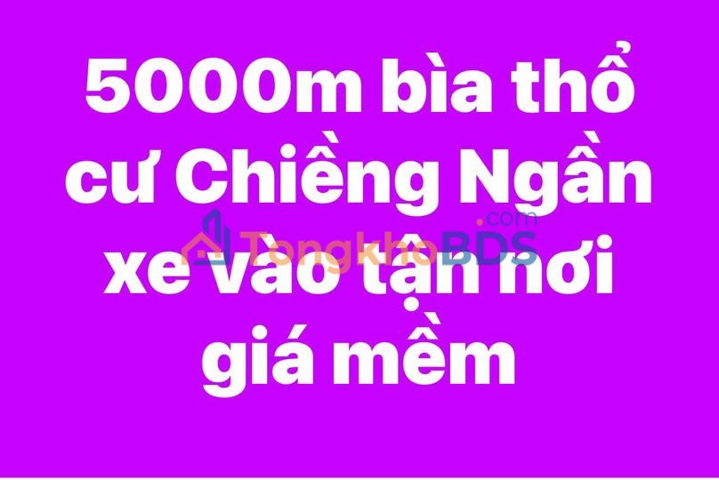 Đất nền Chiềng Ngần Sơn La 5000m² 1.95 tỷ - Sổ đỏ chính chủ