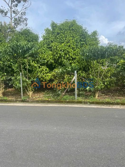 Đất nền Lữ Gia, Bảo Lộc 645m²/180.6 tỷ - Sổ đỏ