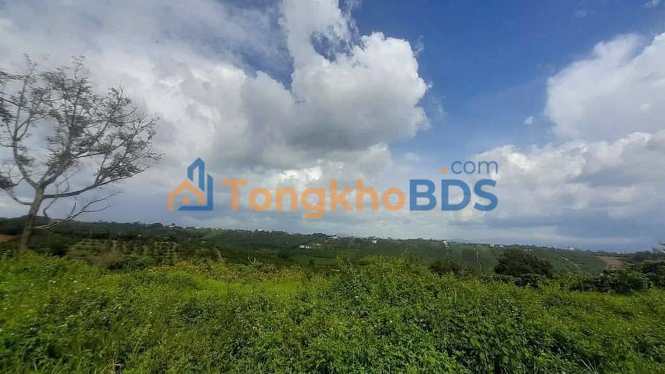 Bán đất nền 580m² mặt đường Nhánh Nguyễn An Ninh, Bảo Lộc - Giá 2.1 tỷ