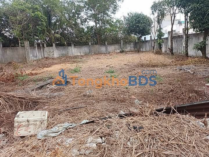 Đất nền Lê Tấn Bê An Lạc 2200m² 100 tỷ - Đất thổ cư