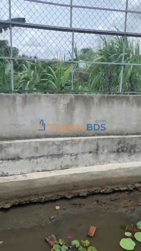 Đất vườn Bình Mỹ Củ Chi 204m² 3.5 tỷ - Đầu tư dài hạn