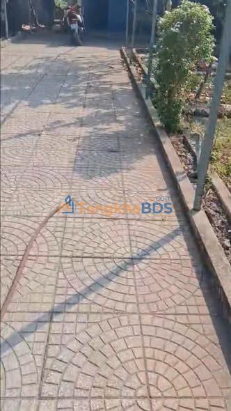 Farm 571.8m² Sổ Hồng Tại Phú Mỹ, BR-VT - Giá Đầu Tư 2.85 Tỷ