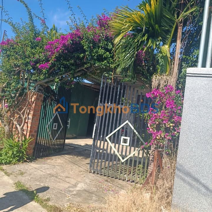 Đất nền Tân Văn Lâm Hà 420m² - Pháp lý rõ ràng, sổ đỏ