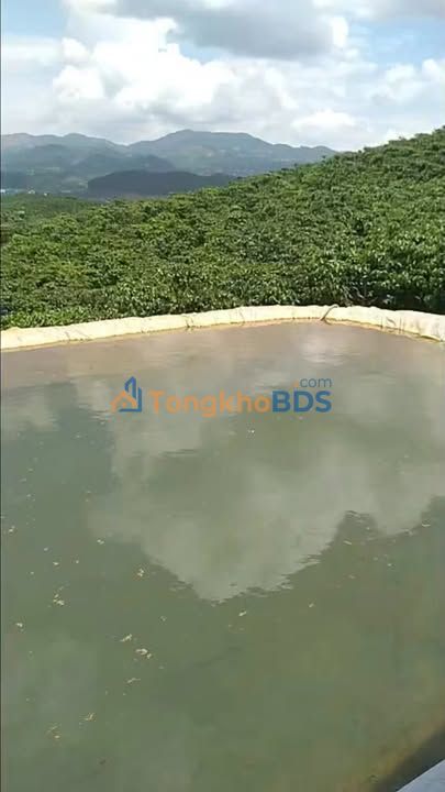 Đất nền Đạ Đơn Lâm Hà 15.000m²/12.5 tỷ - Sổ đỏ chính chủ