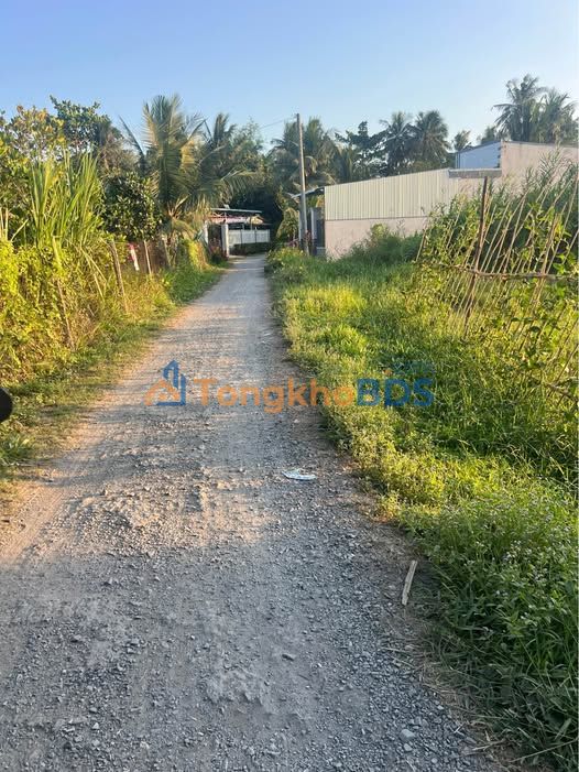 Đất nền Mỹ Phước Mang Thít 160m2 320tr - Thổ cư 100%