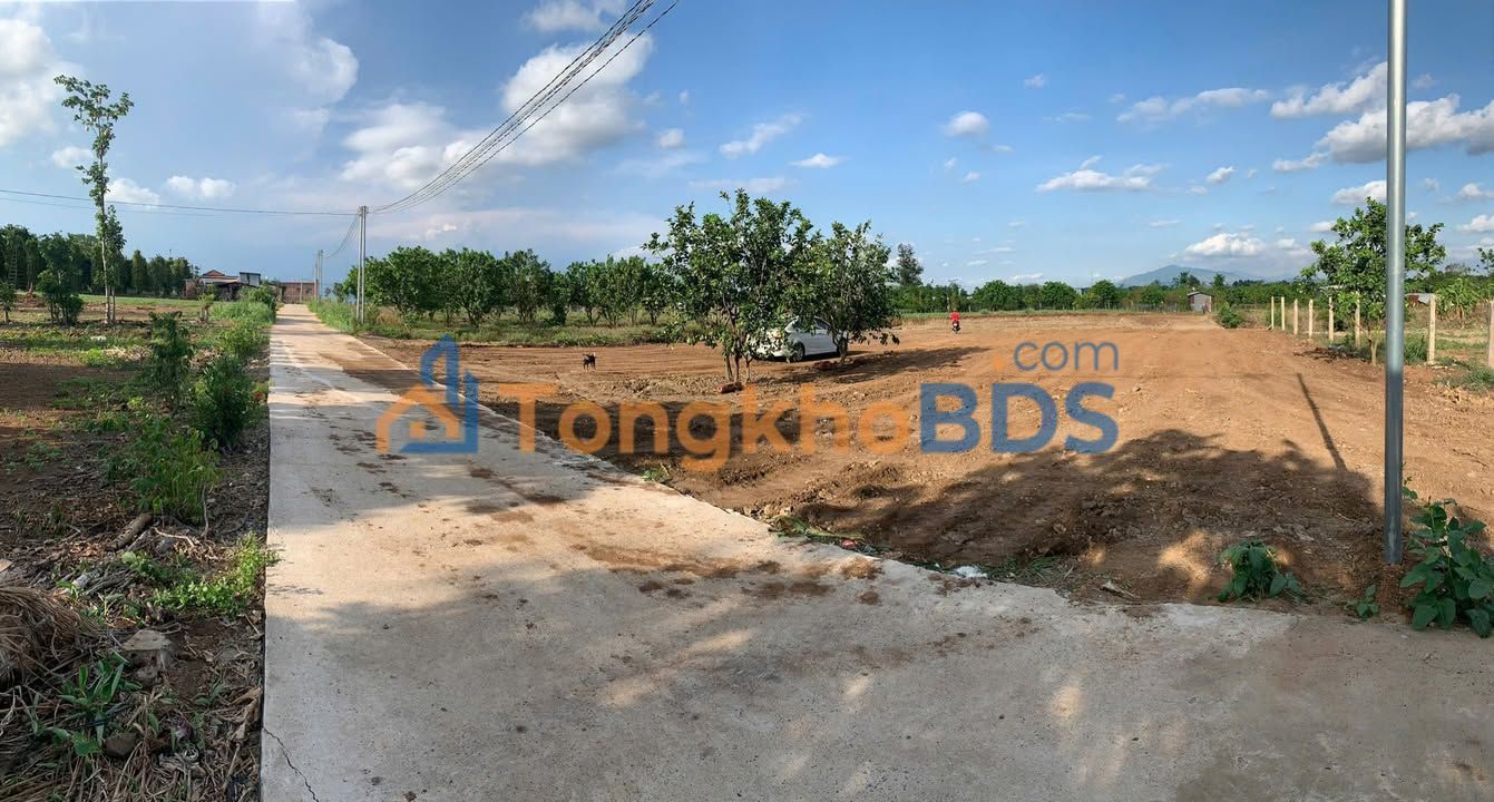 Đất Vườn Đồng Nai 2302m² - Mặt Tiền 28m, Sổ Hồng Riêng, Giá Tốt