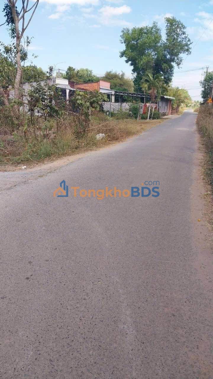 Đất Gò Dầu, Tây Ninh: 600m² Mặt Tiền Đường Nhựa, Giá 2.5 Tỷ - Sổ Hồng Thổ Cư
