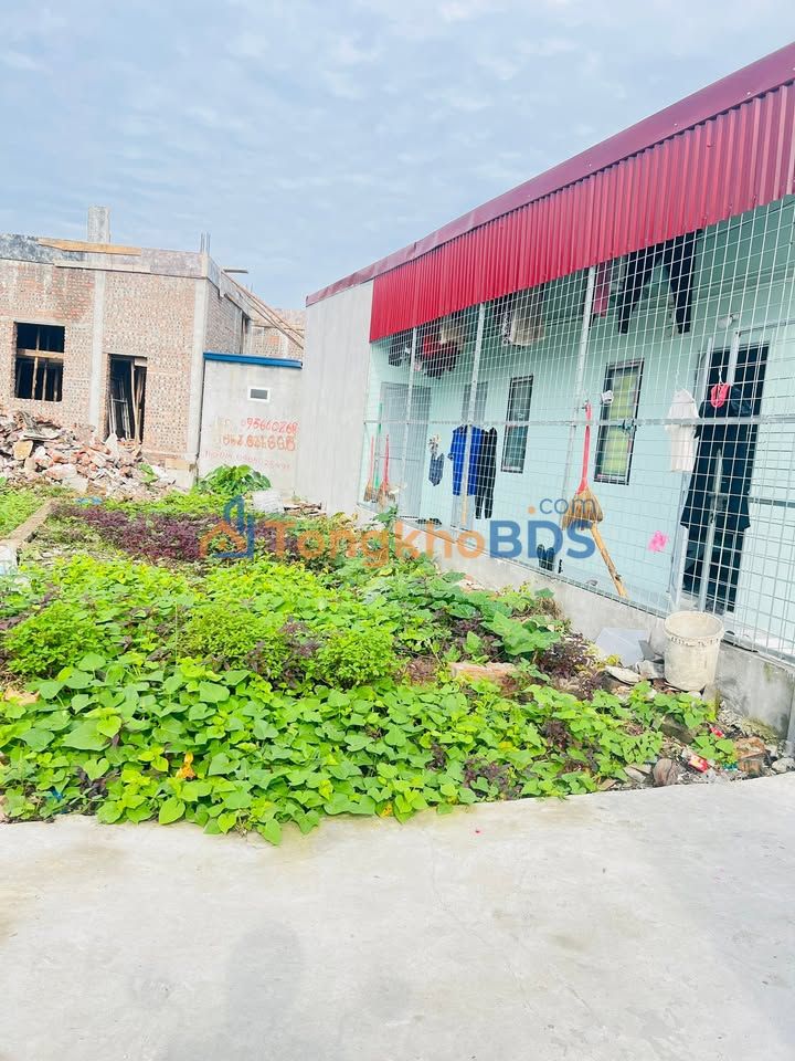 Land Hồng Phong An Dương 62m² 1 tỷ - Tiềm năng tăng giá