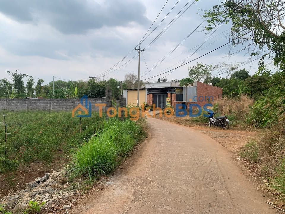 Đất Nền Xuân Lộc Đồng Nai 200m² Full Thổ Cư - Giá 7xx Triệu