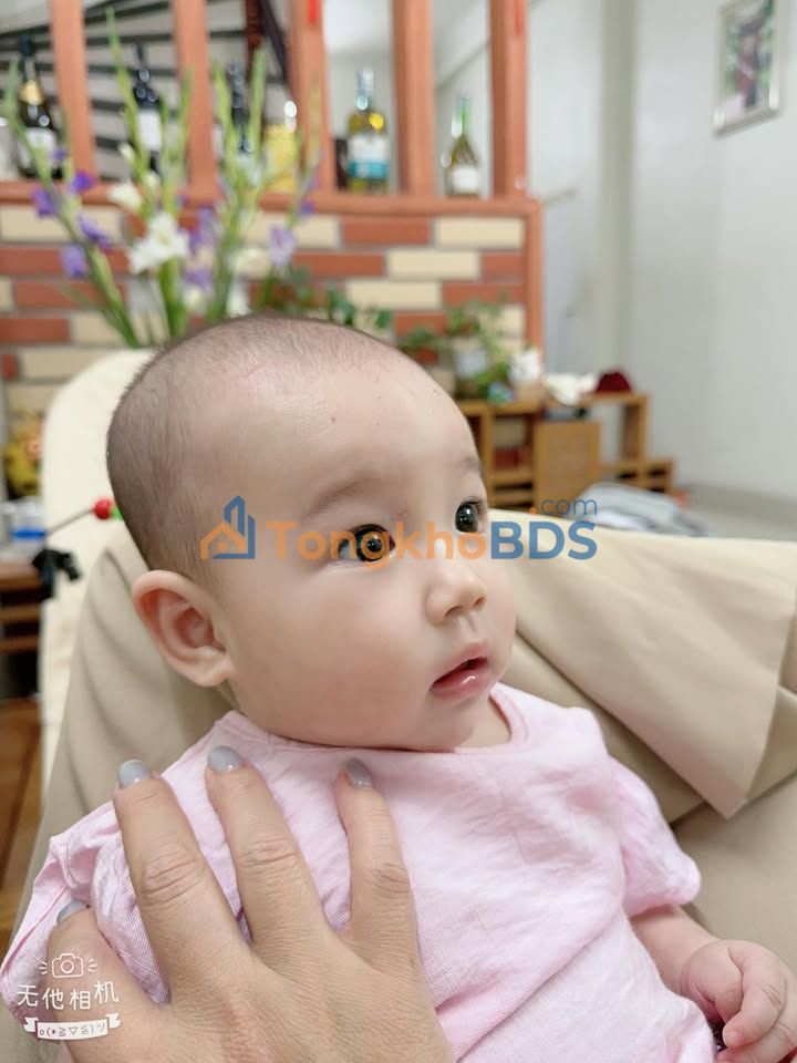 Đất nền Trần Lãm Thái Bình 141m² 7.05 tỷ - Sổ đỏ chính chủ