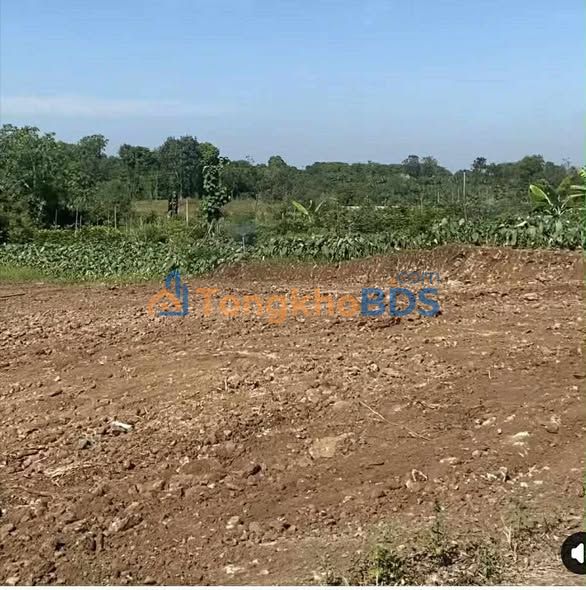 Đất Suối Cao Xuân Lộc 720m² 650 triệu - Sổ đỏ chính chủ