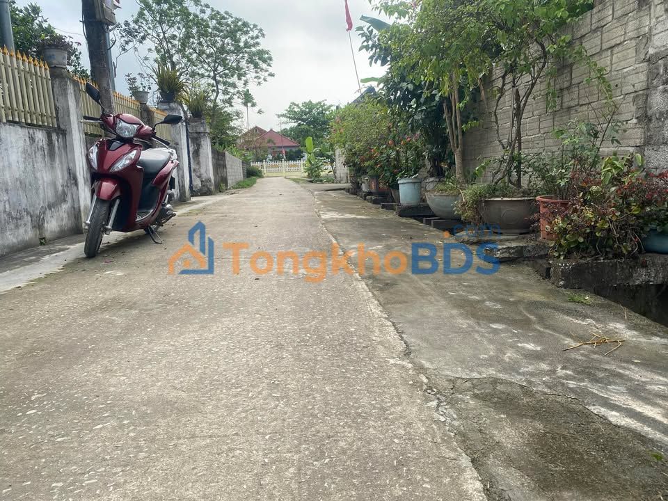 Land Xã Thái Hòa Triệu Sơn 140m² giá 500-599 triệu - Hạ tầng chuẩn, sổ đất an toàn