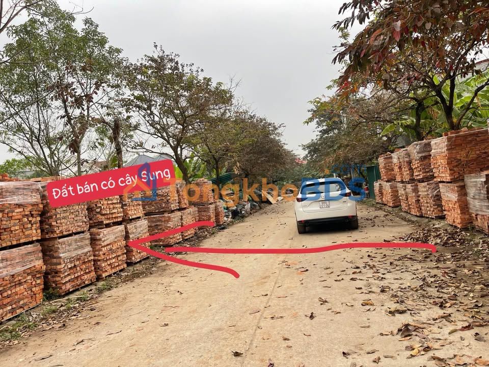 Đất nền Bình Xuyên 100m² - Vị trí trung tâm, hướng Bắc, giá 2.8 tỷ