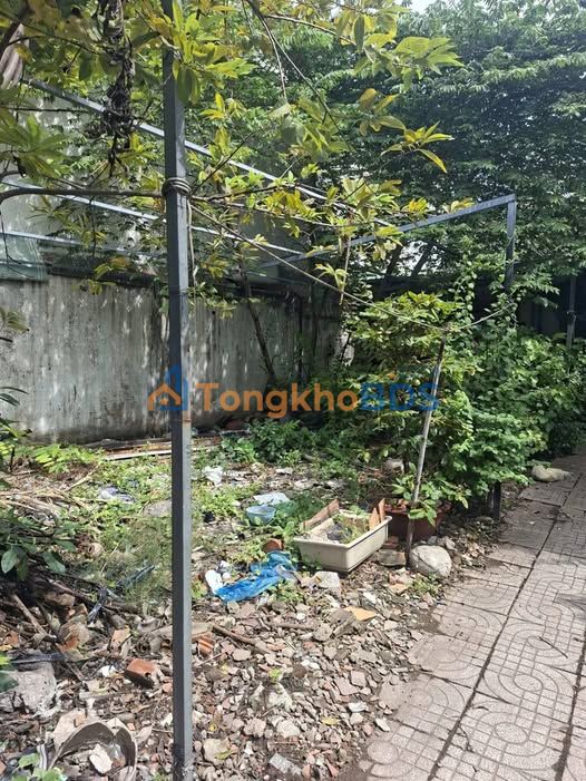 Đất nền Quận 7 Nguyễn Thị Thập 225,7m² 6,6 tỷ - Sổ hồng chính chủ