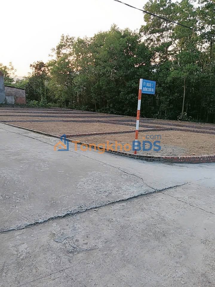 Đất Sóc Sơn 100m² View Núi, Sổ Hồng Riêng - Giá Đầu Tư Tốt