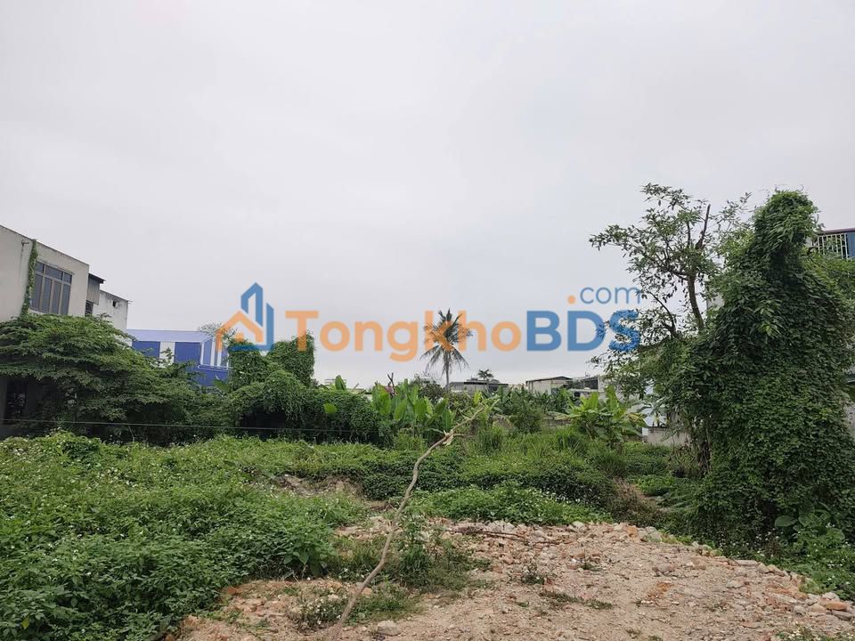 Đất nền Quảng Thành 484m² - Sẵn sàng xây biệt thự, tiềm năng đầu tư